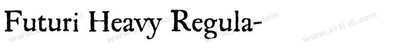 Futuri Heavy Regula字体转换